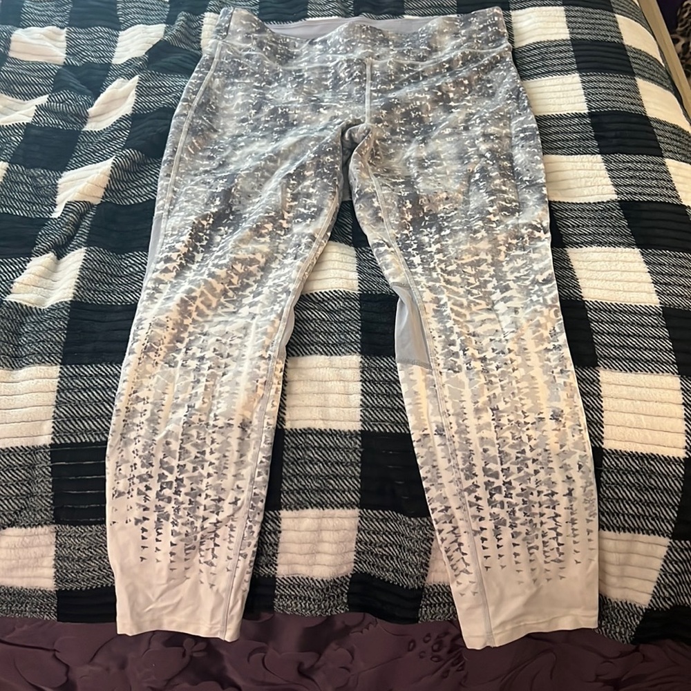 Calvin Klein tights